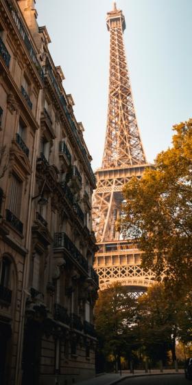 Champs Élysée